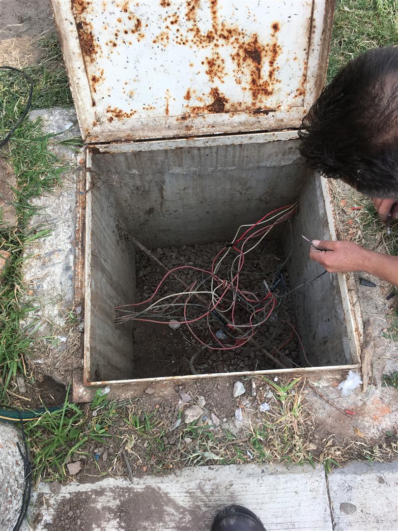 Imagen Principal del Servicio